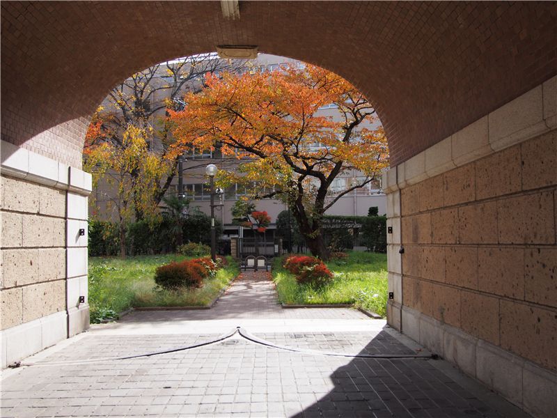 f0224100_8174719.jpg