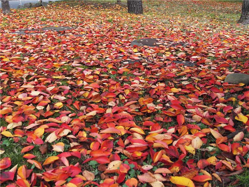 f0224100_822064.jpg