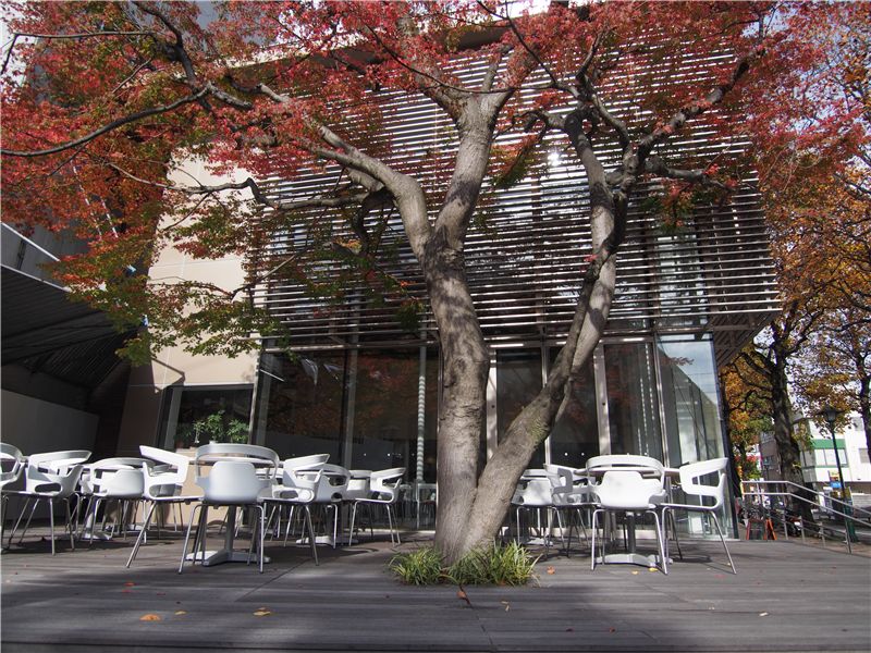 f0224100_8241522.jpg