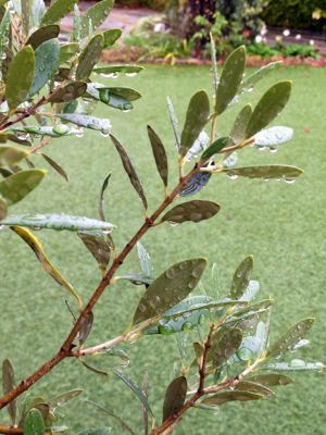 e0177509_23461420.jpg