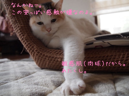 b0042310_11178.jpg
