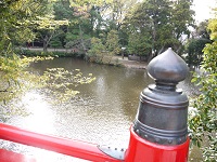 a0286816_12441926.jpg
