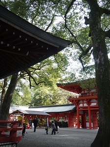 a0286816_1245376.jpg