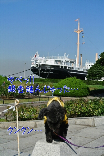 b0236618_22473482.jpg