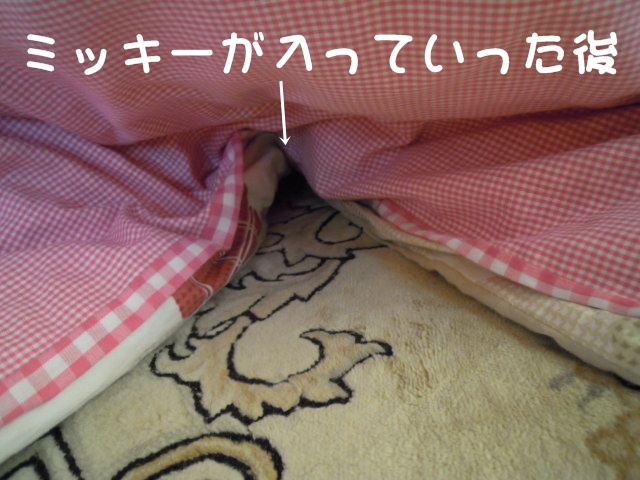 c0166622_962348.jpg