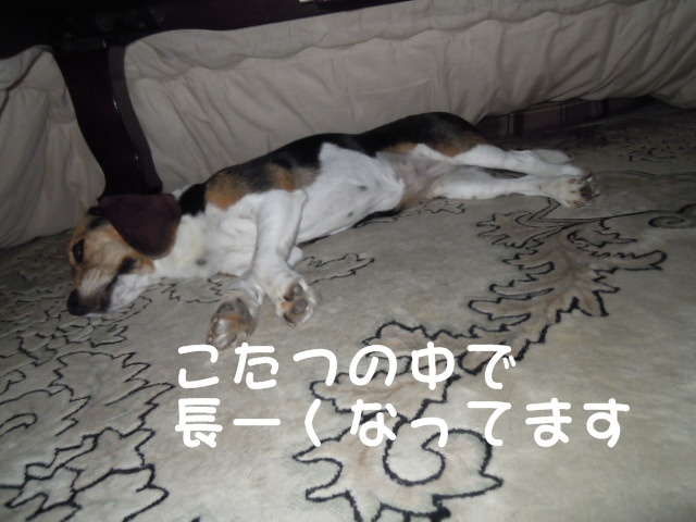 c0166622_991682.jpg