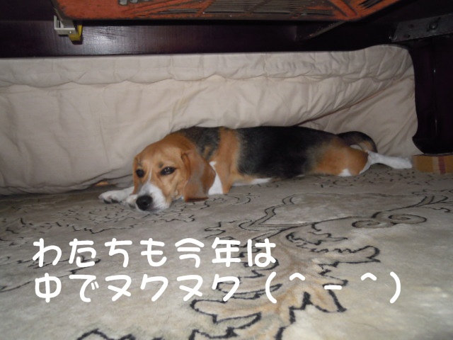 c0166622_991712.jpg