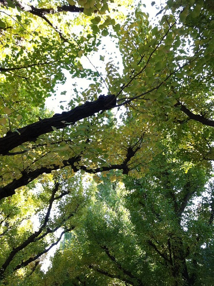 e0156222_20513138.jpg
