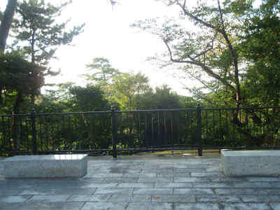 b0008825_1637024.jpg