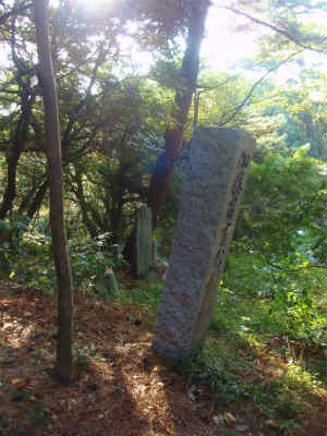 b0008825_16395750.jpg