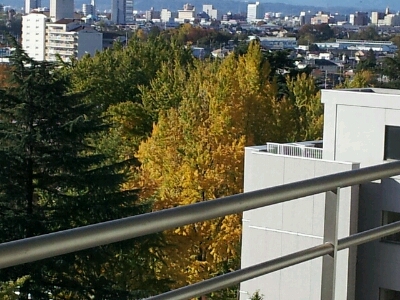 a0156526_11394023.jpg