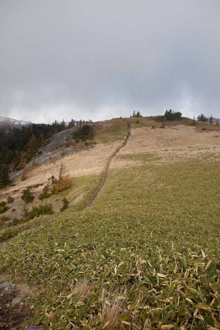 c0216331_2304846.jpg