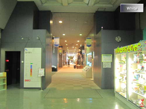c0227134_011014.jpg