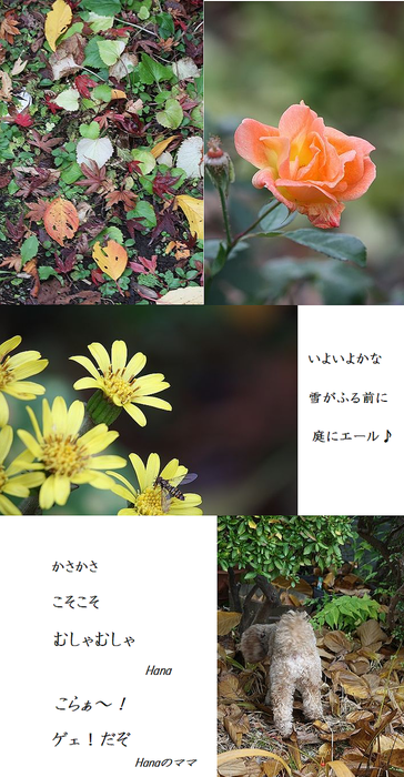 c0249836_14485655.png