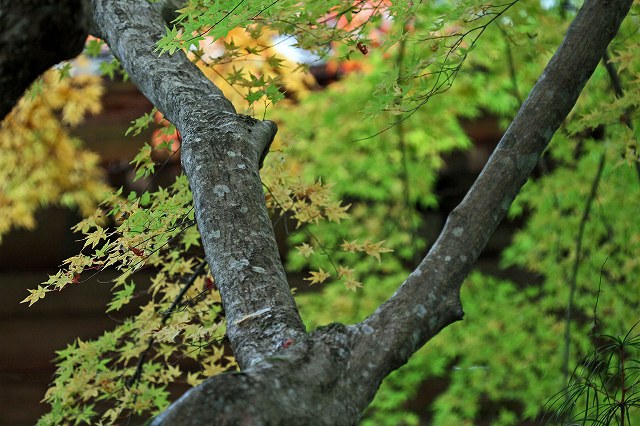 a0242438_2081338.jpg