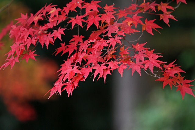 a0242438_20836100.jpg