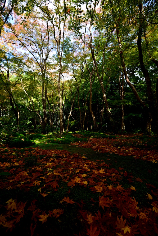 c0221838_1822147.jpg