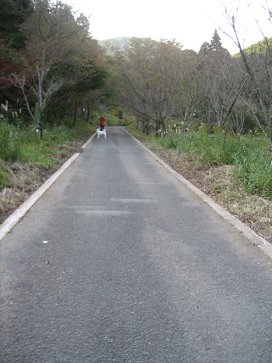 b0086939_14372361.jpg