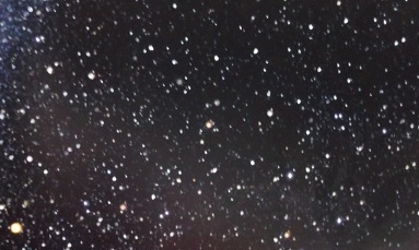 e0248844_2215593.jpg