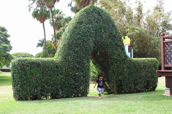 a0090451_0444338.jpg
