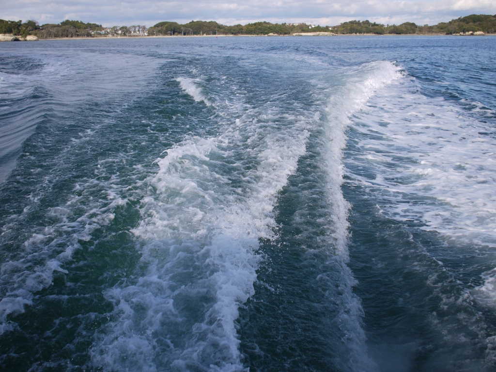 e0259451_10442230.jpg
