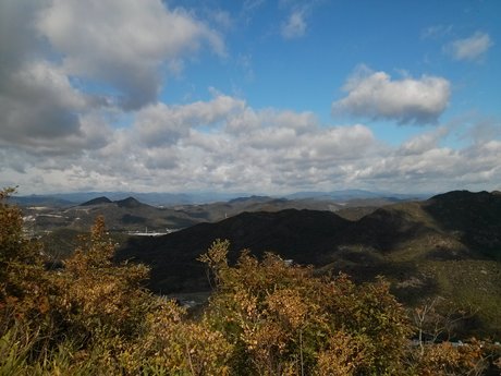 b0210754_954044.jpg