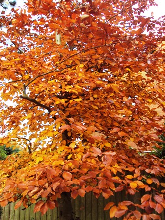 e0010856_3482879.jpg