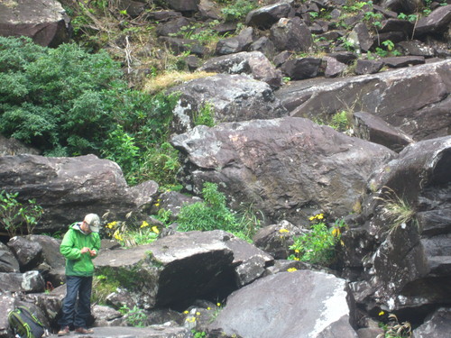 b0160957_1552454.jpg