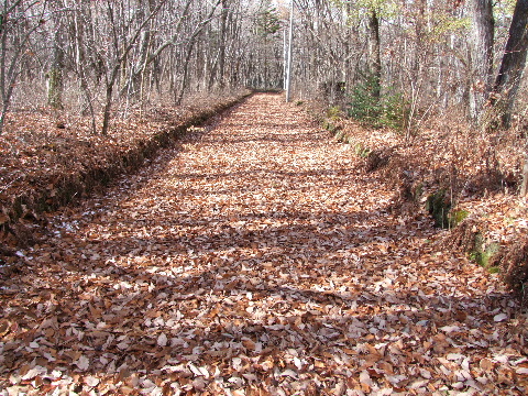 e0088260_2148285.jpg