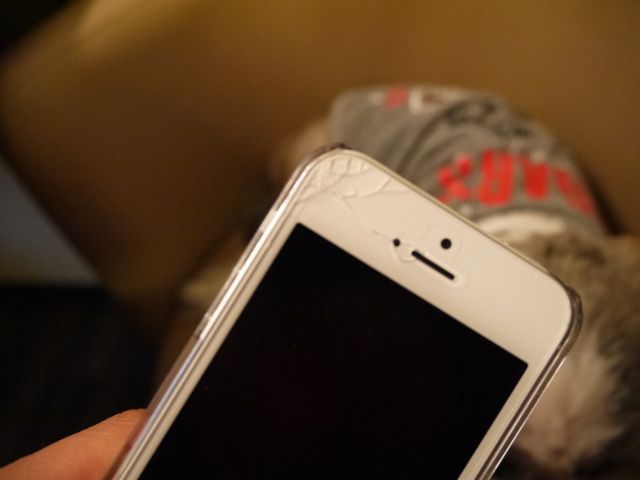 f0177261_17573633.jpg