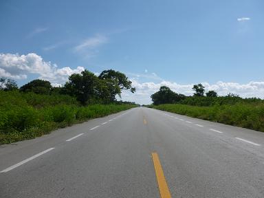 a0165963_16451362.jpg