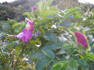 b0267163_151548100.jpg