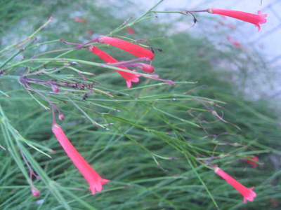 b0267163_16152691.jpg