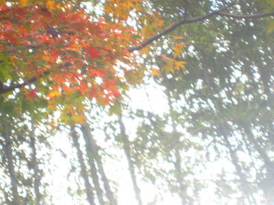 b0267163_18154740.jpg