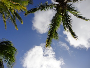 c0260864_14443381.jpg