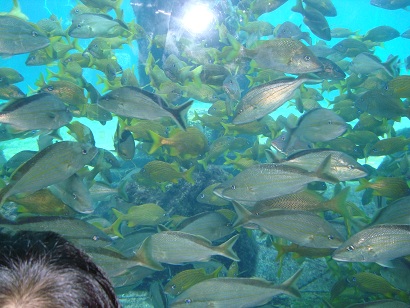 c0260864_15472269.jpg