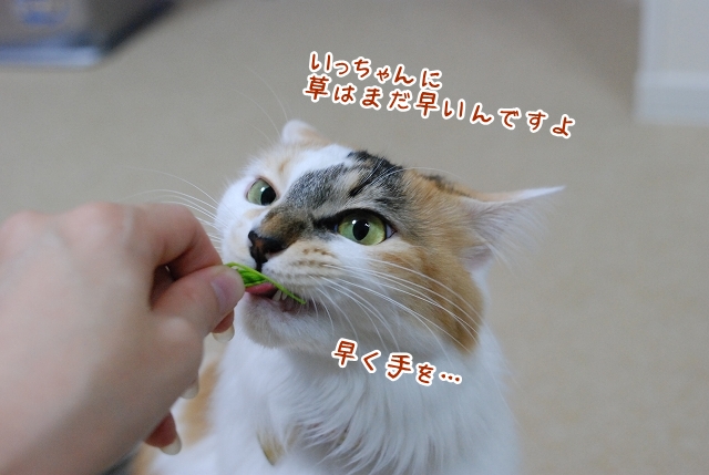 a0266372_2115547.jpg