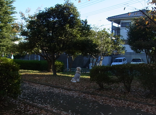b0136381_19403662.jpg