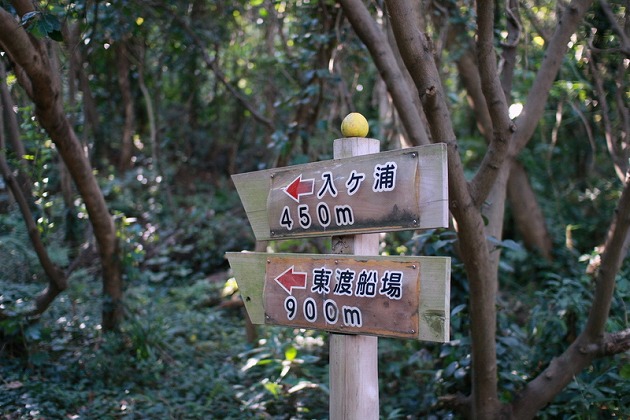 f0238184_071936.jpg