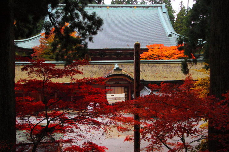 e0051888_2312359.jpg