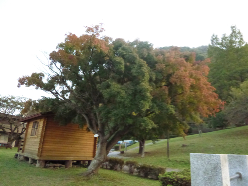 b0074992_0325345.jpg
