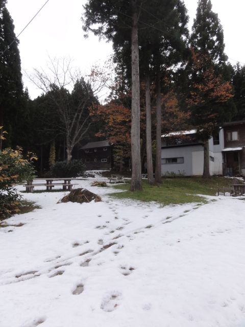 a0061599_7361245.jpg