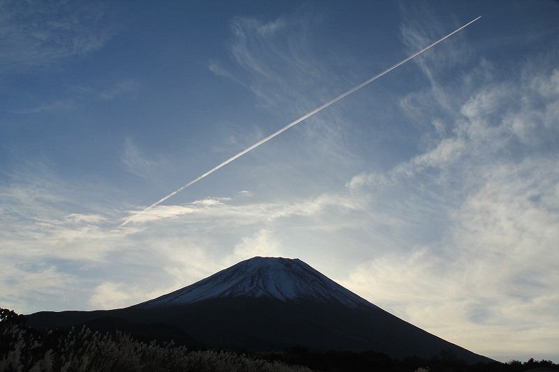 a0188405_21301176.jpg