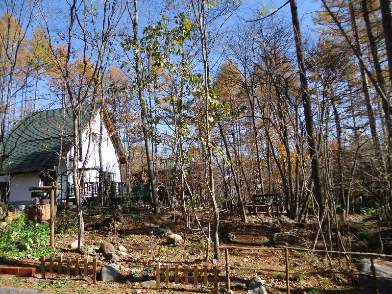 b0148106_2355743.jpg