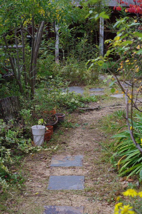 c0056707_10594960.jpg
