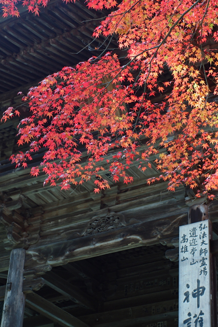 a0146011_18311150.jpg
