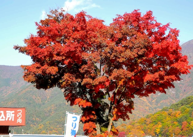 c0248013_1162820.jpg