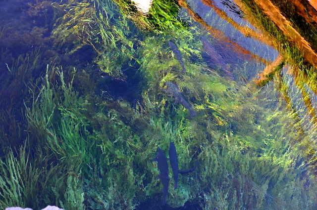 c0248013_12121075.jpg