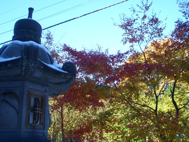 e0033713_19343210.jpg