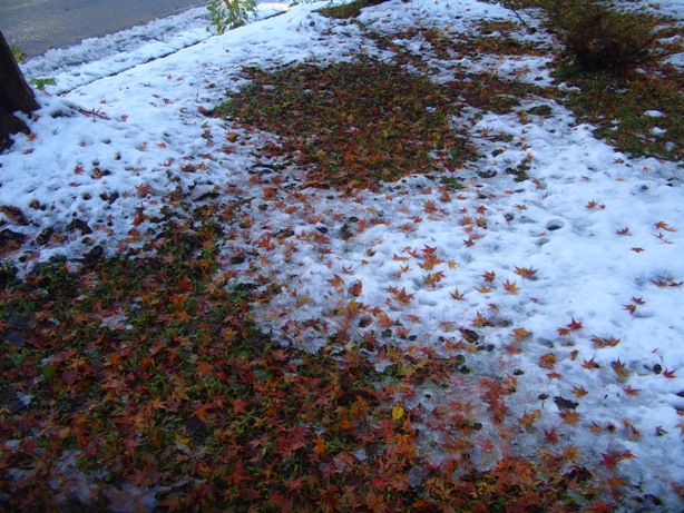 e0033713_1936396.jpg